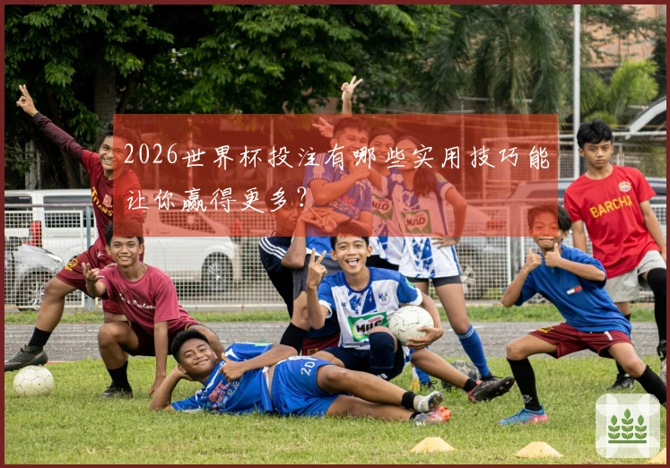 2026世界杯投注有哪些实用技巧能让你赢得更多？