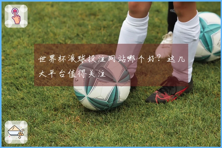 世界杯滚球投注网站哪个好？这几大平台值得关注