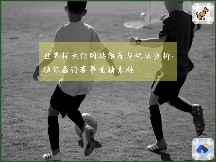 世界杯竞猜网站推荐与玩法分析，助你赢得赛事竞猜乐趣