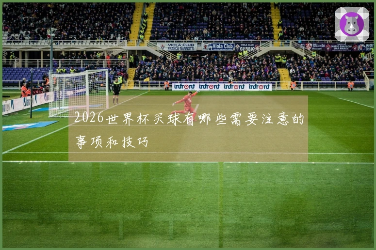 2026世界杯买球有哪些需要注意的事项和技巧