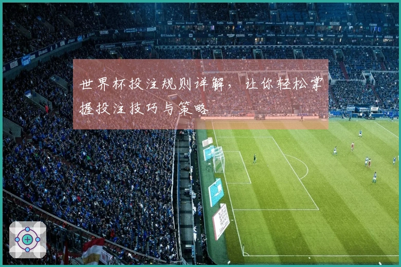 世界杯投注规则详解，让你轻松掌握投注技巧与策略