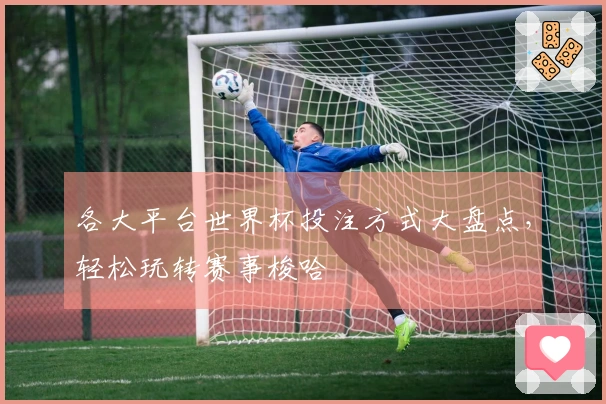 各大平台世界杯投注方式大盘点，轻松玩转赛事梭哈