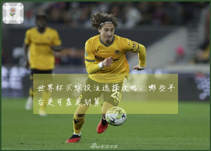 世界杯买球投注选择攻略，哪些平台更可靠更划算