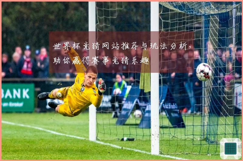 世界杯竞猜网站推荐与玩法分析，助你赢得赛事竞猜乐趣