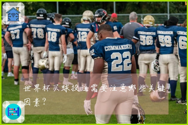 世界杯买球投注需要注意哪些关键因素？