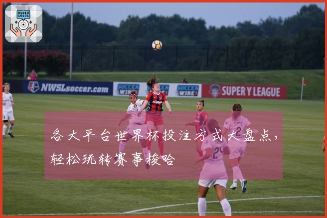 各大平台世界杯投注方式大盘点，轻松玩转赛事梭哈
