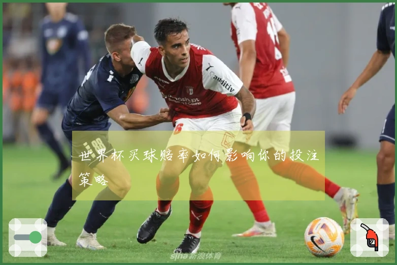 世界杯买球赔率如何影响你的投注策略